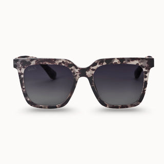Dani-grey cheetah