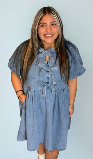 Bluebell Denim Dress