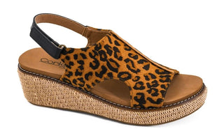 Corkys Volta II- Leopard Combo