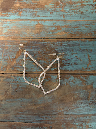 Dazzle Drop Earrings