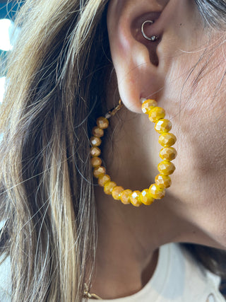 Beaded Beauty Earrings