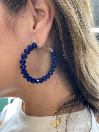 Beaded Beauty Earrings