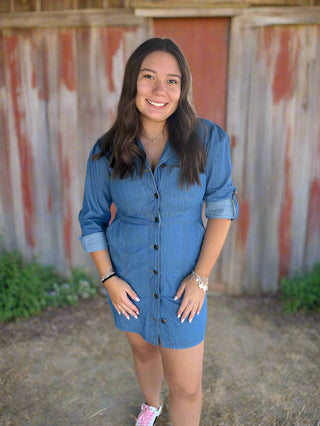 Denim SS Dress
